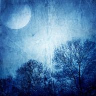Фреска Лунный свет рисунок синий