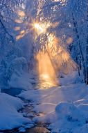 Фотообои Зимний ручей