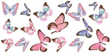Фотообои Бабочки