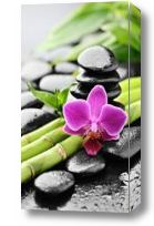 Картина Цветы, бамбук и камни